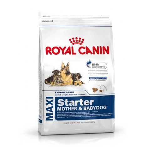 Royal Canin Maxi Starter