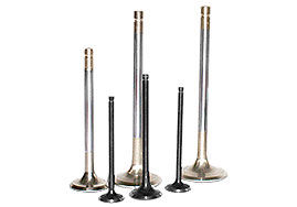 Engine Valves