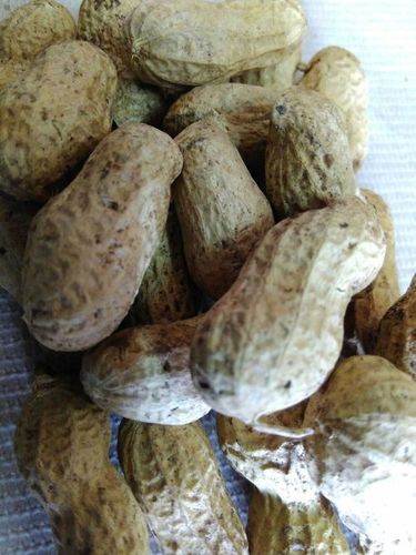 Groundnuts