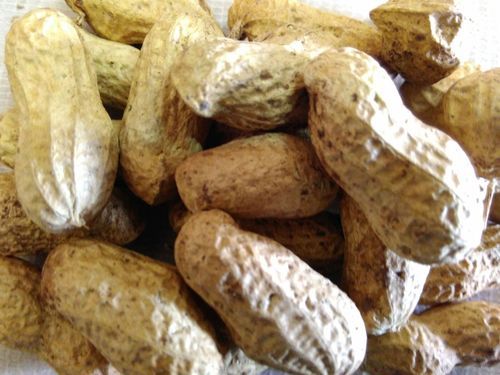 High Quality Raw Groundnuts