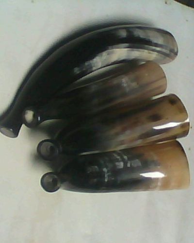 Drinking Horn Glass