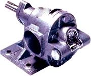 Rotary Gear Pump