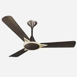 Ceiling Fans