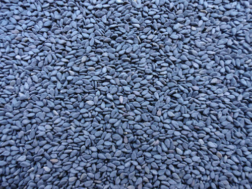 Z - Black Sesame Seeds