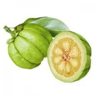 Garcinia Cambogia Extract