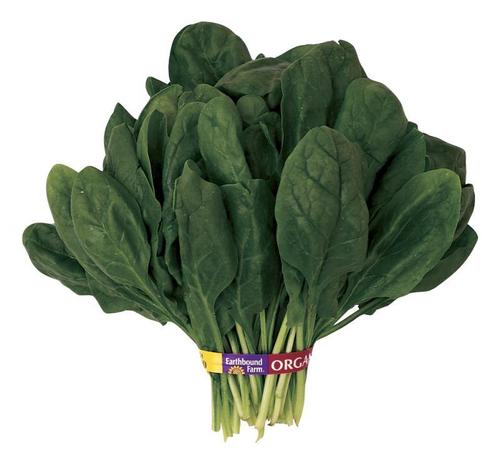 Palak - Early Maturity, High Yields | Dark Green, Juicy, Sweet-Tasting Leaves, Long Transportation Suitable