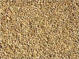 Guar Seed for Textile and Cosmetics Industry