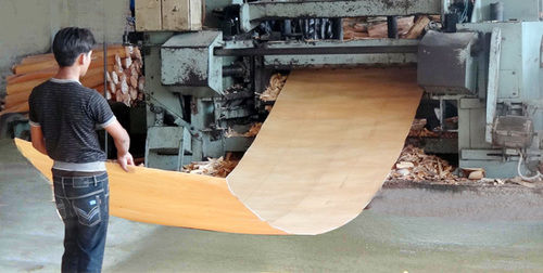 Eucalyptus Core Veneer