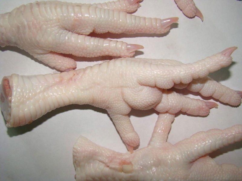 Processed Frozen Chicken Feet a   Grade A