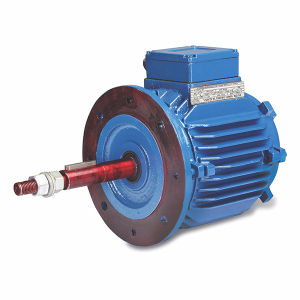 Three Phase Motor