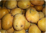 Organic Banganapalli Mangoes 