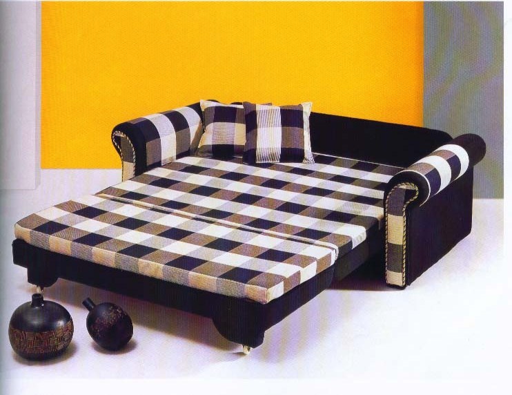 Stylish Sofa Bed At Best In