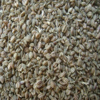 Ajwain Seeds