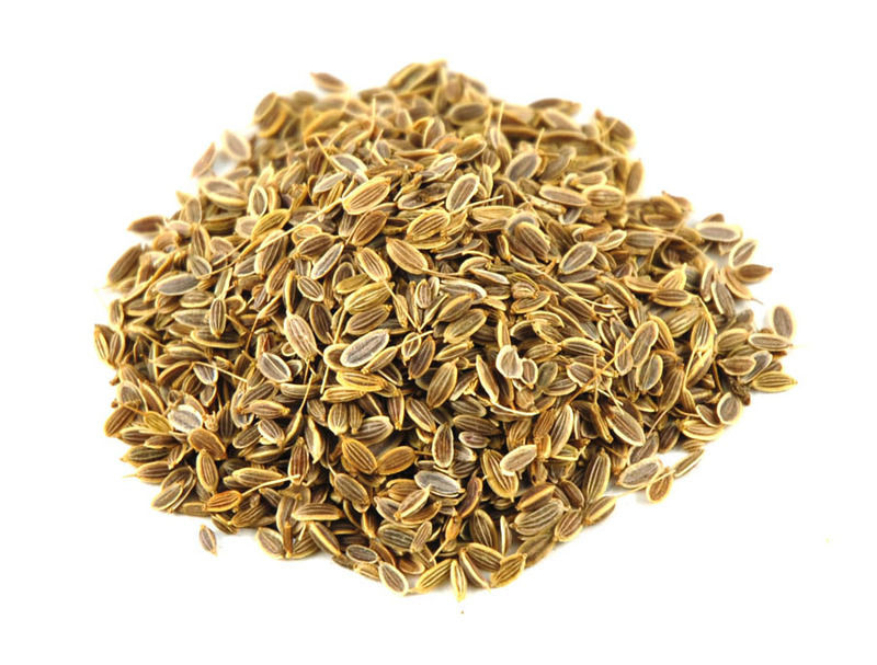 Dill Seeds