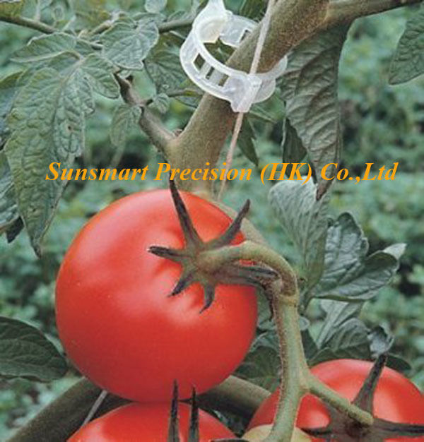 Large Scale Farm Agriculture Plastic Tomato Clips