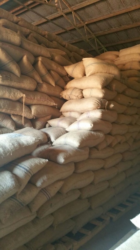 Pure Raw Cashew Nuts