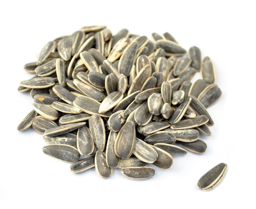 Sunflower Seeds