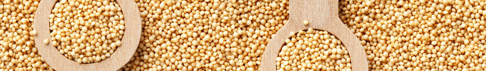 Amaranth Grain