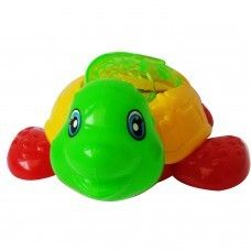 Multicolor Tortoise Toy