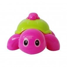 Musical Tortoise Toy