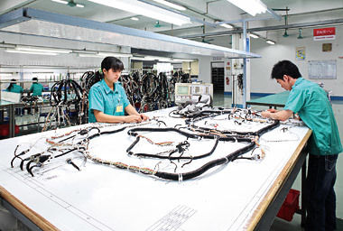 Wire Harness Assembly