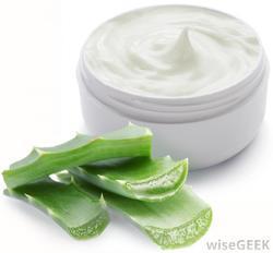 Aloe Vera Moisturizing Cream