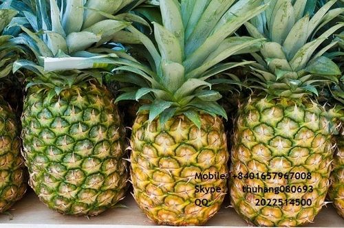 Pineapple