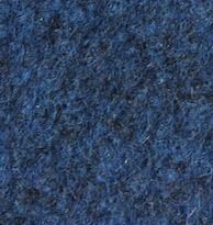 D Blue Carpet