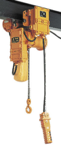 500 Kg To 20 T Hoist