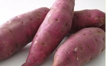 Sweet Potato