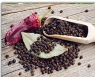 Black Pepper Extract