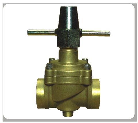 A S Controls Globe Valves