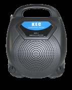 Affordable Portable Speaker