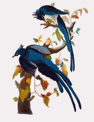 Blue Birds Painting
