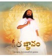 Gita Gyan Book