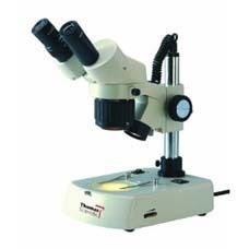 Research Inclined Stereoscopic Microscope