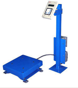 Electronic High Speed Weighing Check Scale