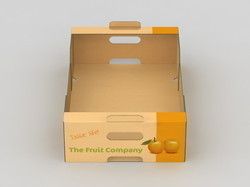 Fresh Fruits Packaging Boxes