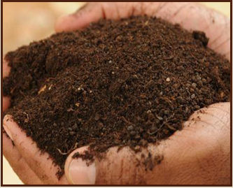 Organic Manure