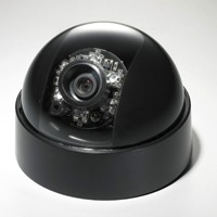 ED300 1/3" Hiqh-Res.Color Mini Dome Camera