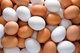 Fresh Chicken Brown and White Table Eggs