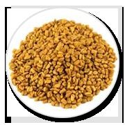 Fenugreek Seed