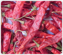 Teja Red Chillies