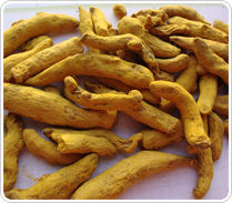 Turmeric Fingers