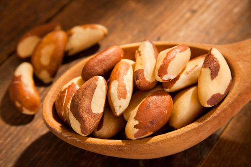 Chestnuts And Brazilnuts Fit For Human Consumption