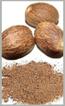 Nutmeg Powder