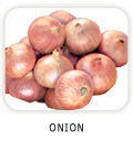 Onion