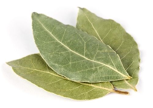 Bay Leaf 