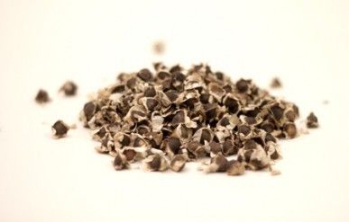 Moringa Seeds