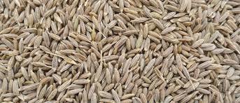 Affordable Cumin Seeds